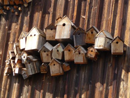 Terres Neuves Consulting