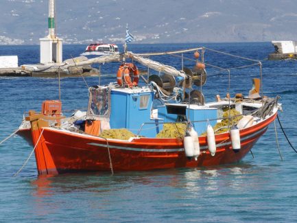 Terres Neuves Consulting