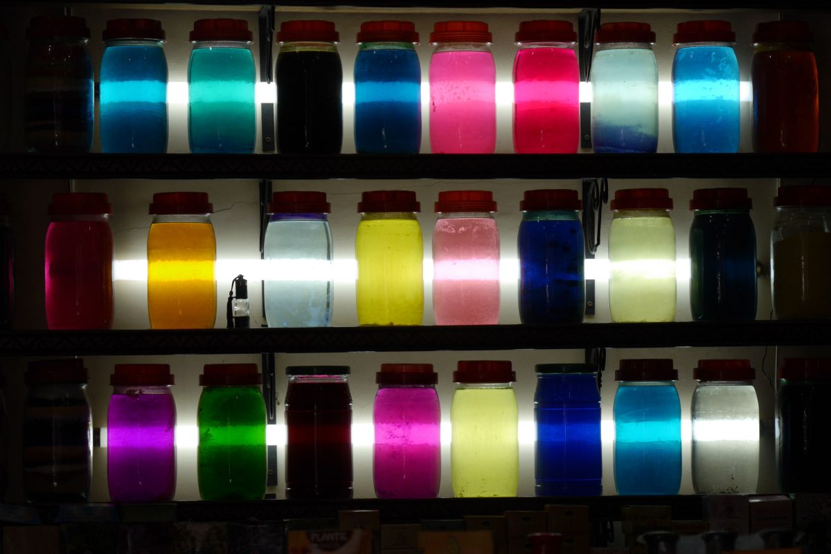 Terres Neuves Consulting