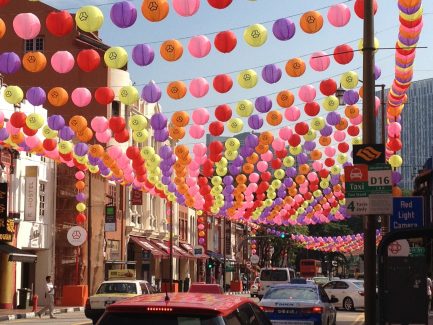 Terres Neuves Consulting