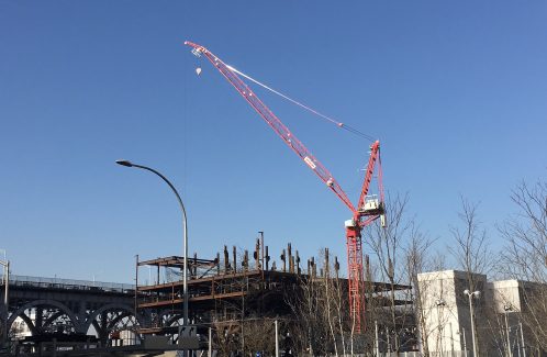 Terres Neuves Consulting