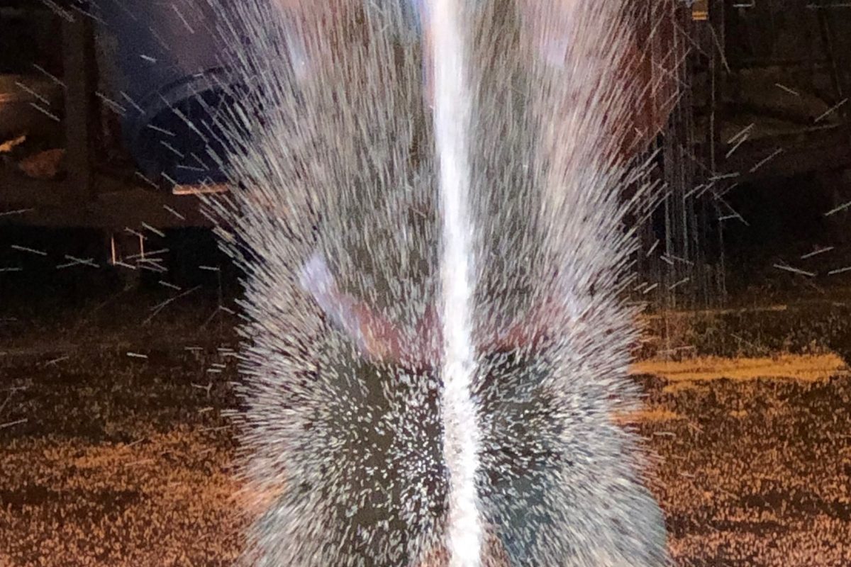 Terres Neuves Consulting man throwing rice