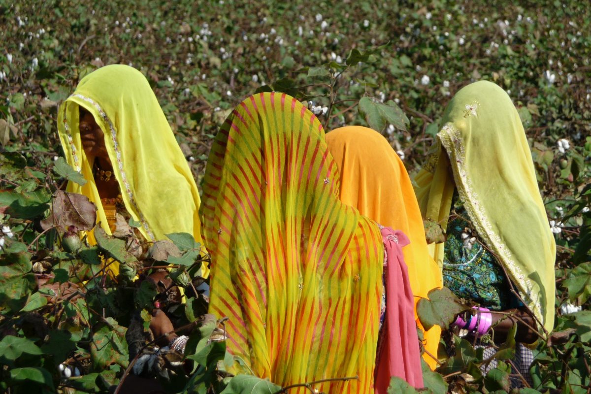 Terres Neuves Consulting women picking cotton Fund Selection
